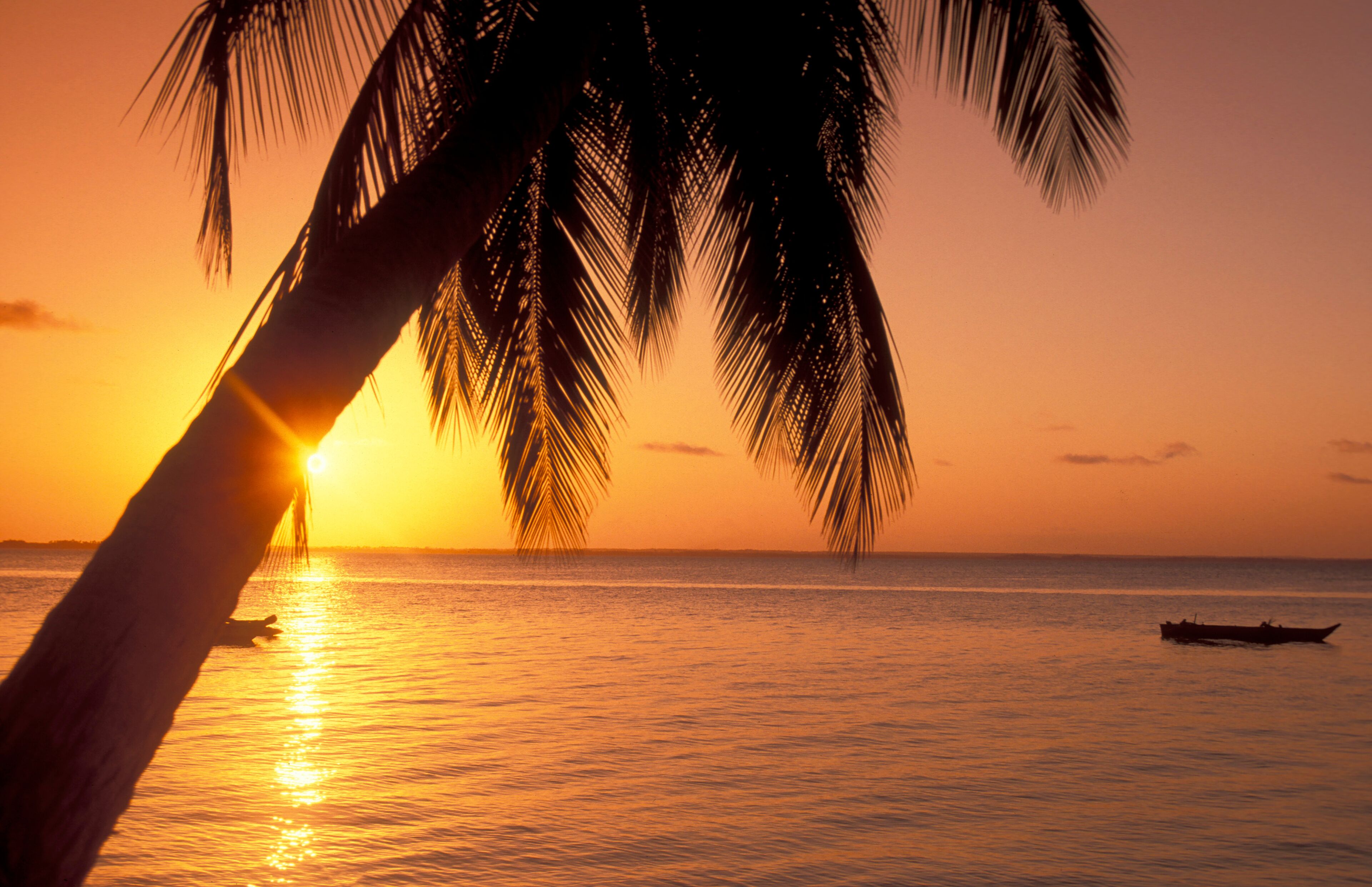 ZANZIBAR BWEJUU EASTCOAST LANDSCAPE