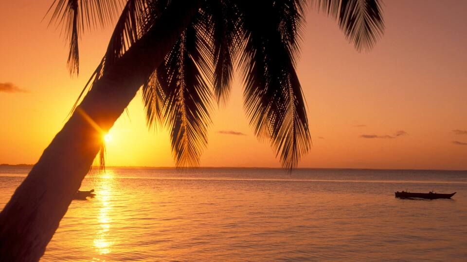 A sunset over a calm sea with a palm tree silhouette and a small boat in the distance.