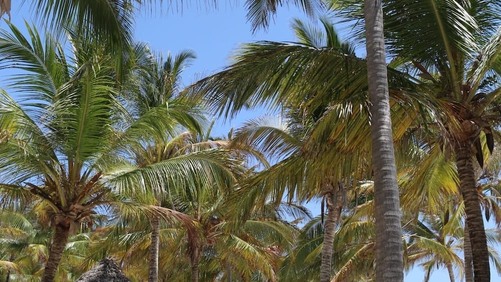 A great place to relax and put your feet up after a week of Safari #lifeatexpedia #my2016