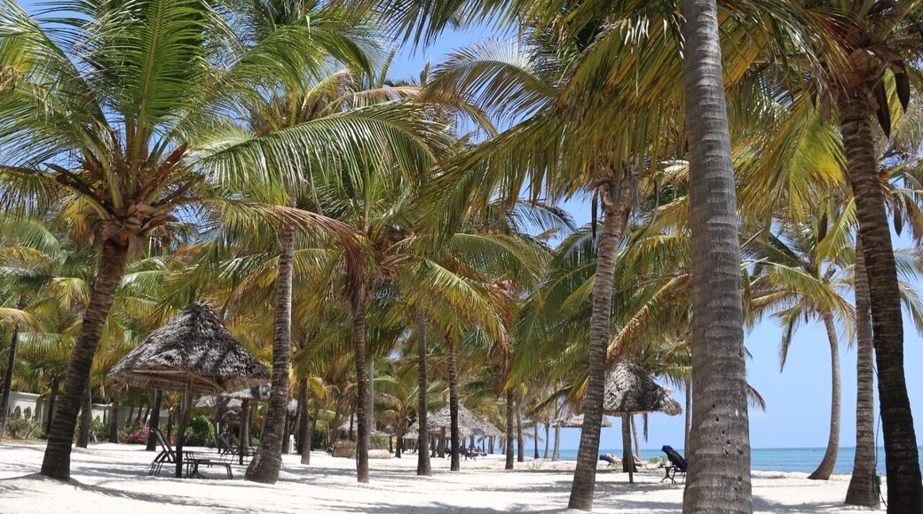 A great place to relax and put your feet up after a week of Safari #lifeatexpedia #my2016