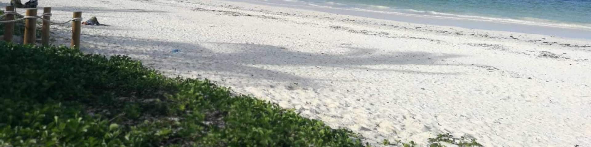 A beach with white sand, a pier extending into the ocean, and overwater bungalows in the distance.