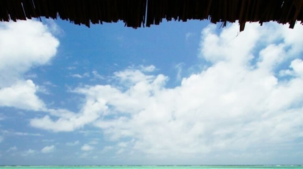 Cabana view of Bwejuu Beach on the east coast of Zanzibar. This luxury resort is a wonderful place to relax after a couple weeks of safari. Either that, or host a small destination wedding here - the white sand beach has been rated one of the best in the world and, due to it's remote location, is never crowded. In fact, The Palms only has six large bungalows while the neighboring property, Breezes, has 60 rooms. Otherwise, the beach is yours to share with the few locals who wander by.