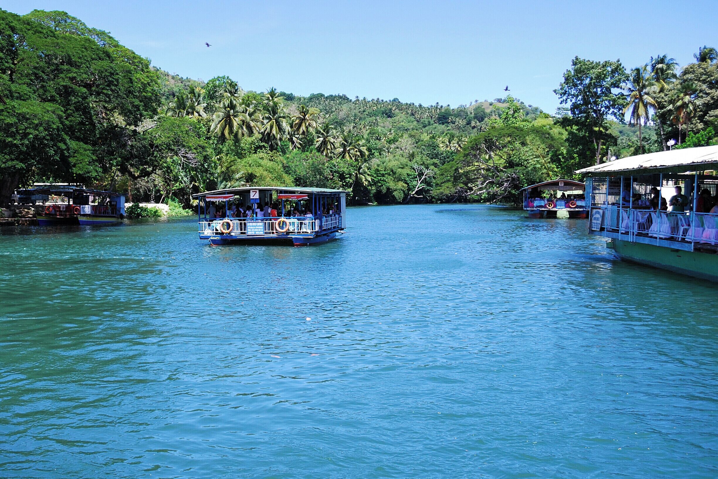 A river with boats and lush greenery.