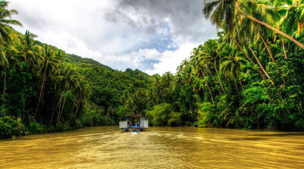 Boat along a jungle river