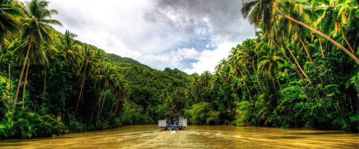 A riverboat navigating through a dense, tropical forest with palm trees lining the waterway.