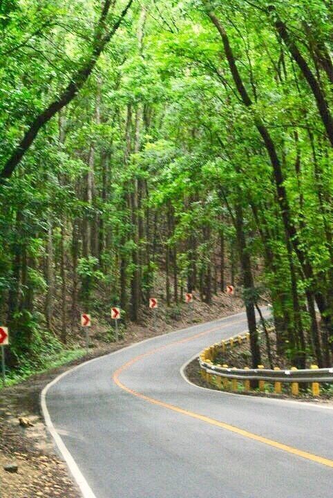 The manmade forest is a 2kilometer stretch of mahogany trees that capture the sloping ground where the municipality of Loboc meets Bilar. Travelers going to visit famous tourist spot Chocolate Hills will not missed passing into this Road. #OnTheRoad Photo Contest