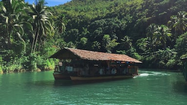 Un bote con techo de paja amarrado cerca de un río, rodeado de vegetación exuberante y palmeras.