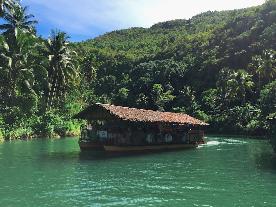 A boat with a thatched roof docked near a river, surrounded by lush greenery and palm trees.