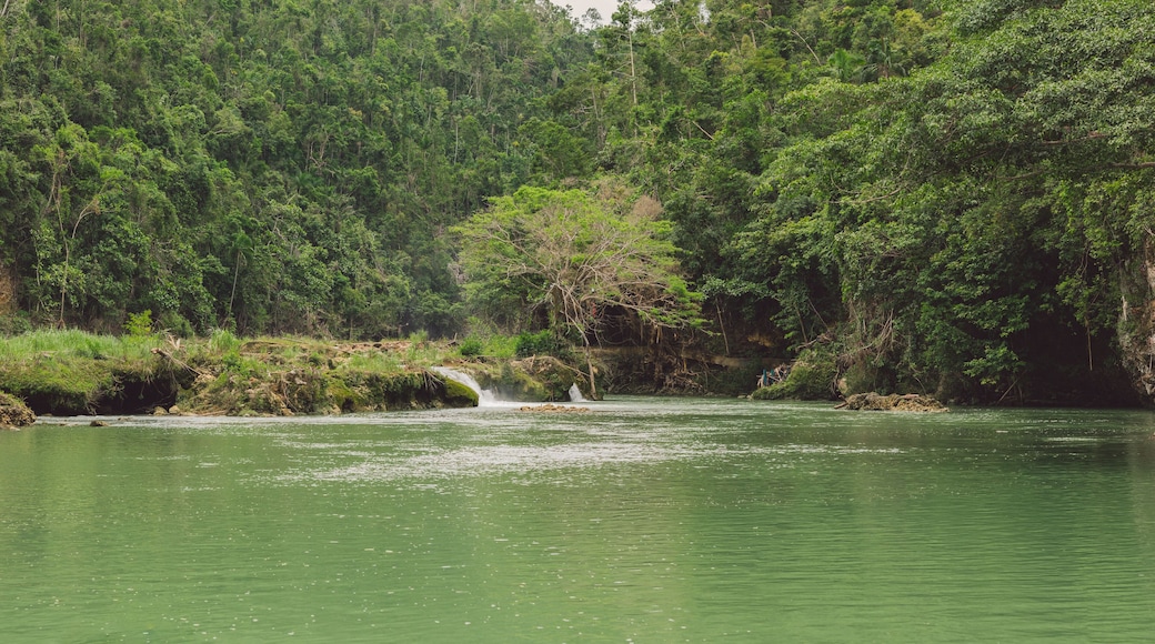 Loboc river - Bohol Island - Philippines