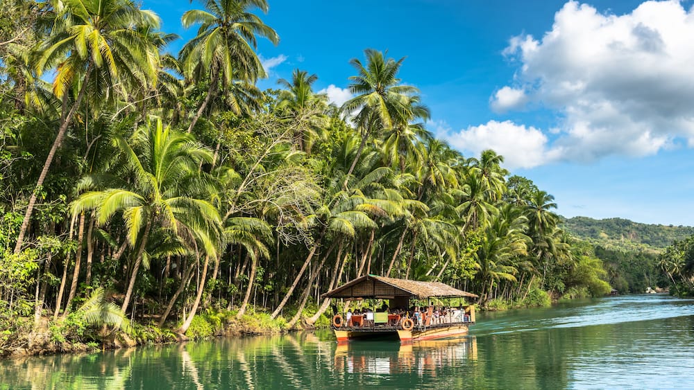 A river with a boat and palm trees.