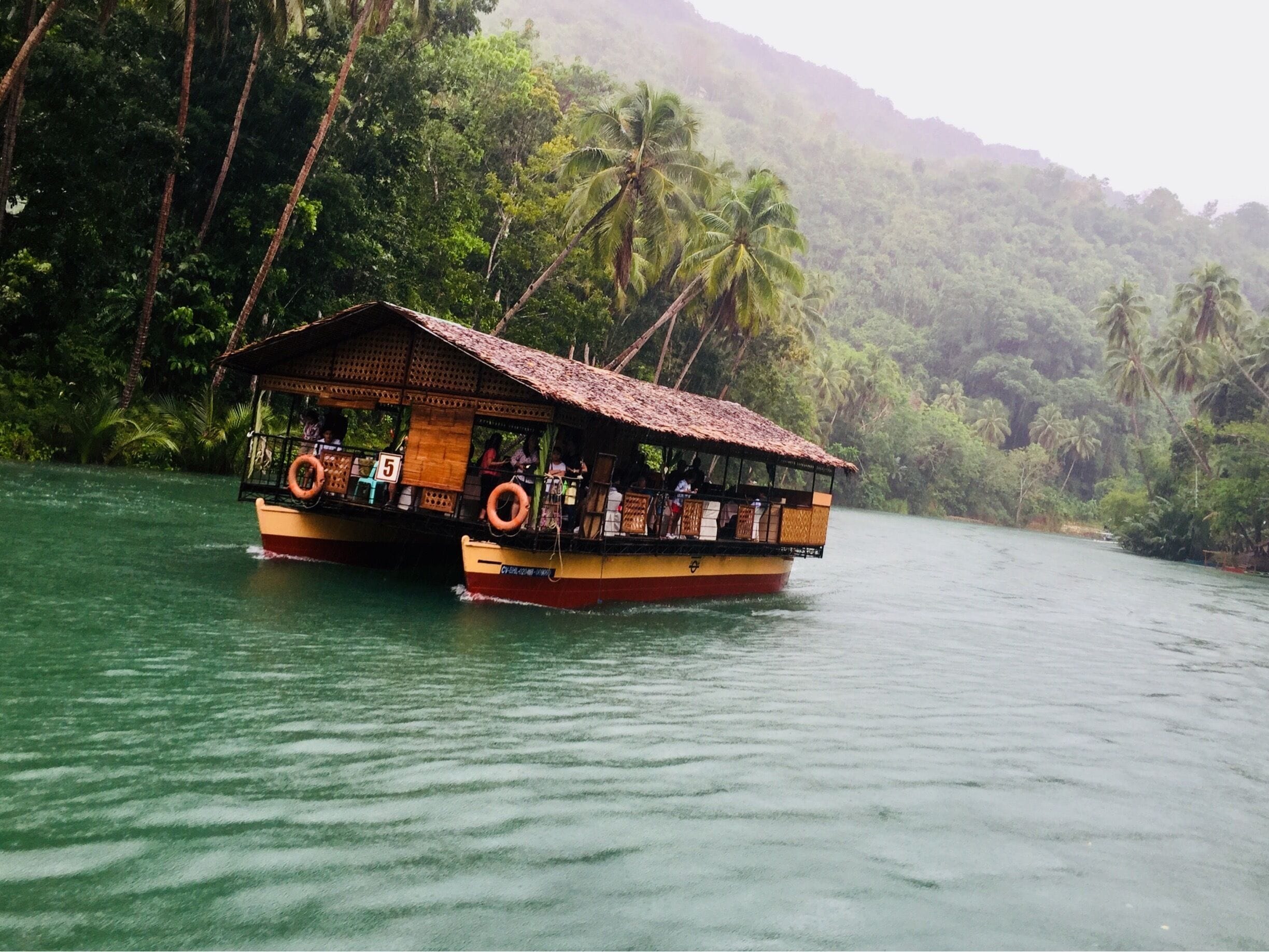 A boat with a thatched roof and wooden walls, floating on a river surrounded by dense tropical vegetation and palm trees.