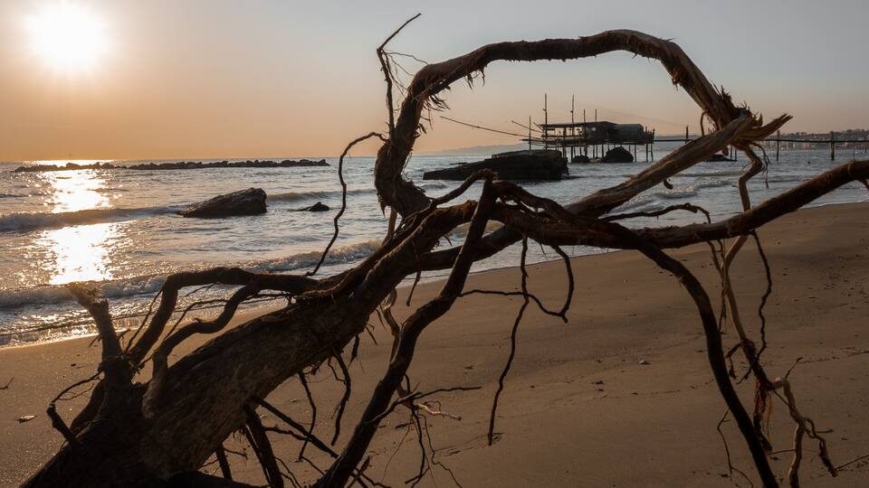 A beach with a fallen tree trunk, ocean waves, and a pier in the background.