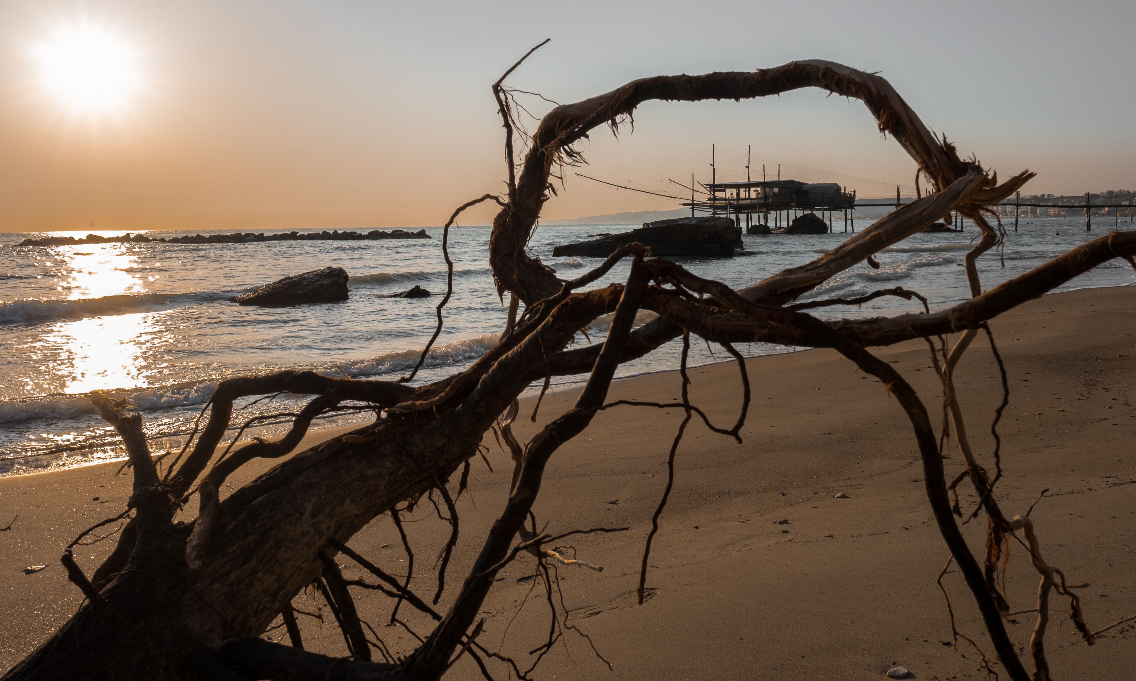 A beach with a fallen tree trunk, ocean waves, and a pier in the background.