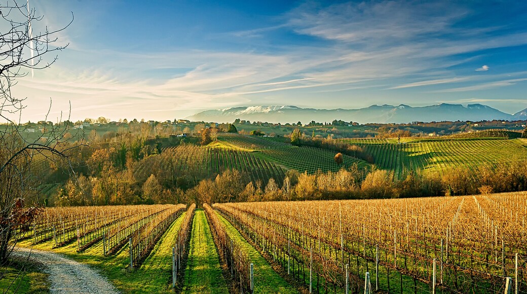 San Pietro di Feletto