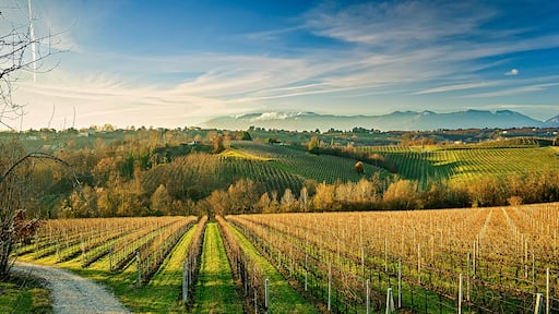 San Pietro di Feletto