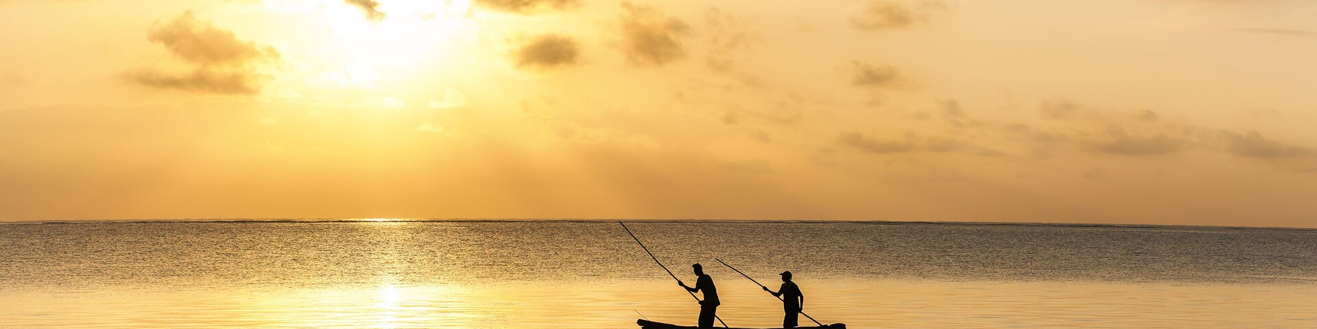 vacation, palm trees, ocean, hotel, holiday,