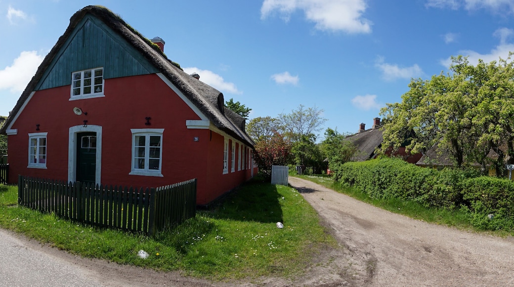 panorama view of thatched roof houses in the Danish village of Sonderho