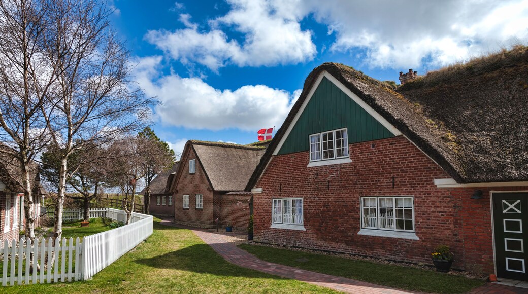 D74BP8 Traditional house in Sonderho on the danish island Fanoe