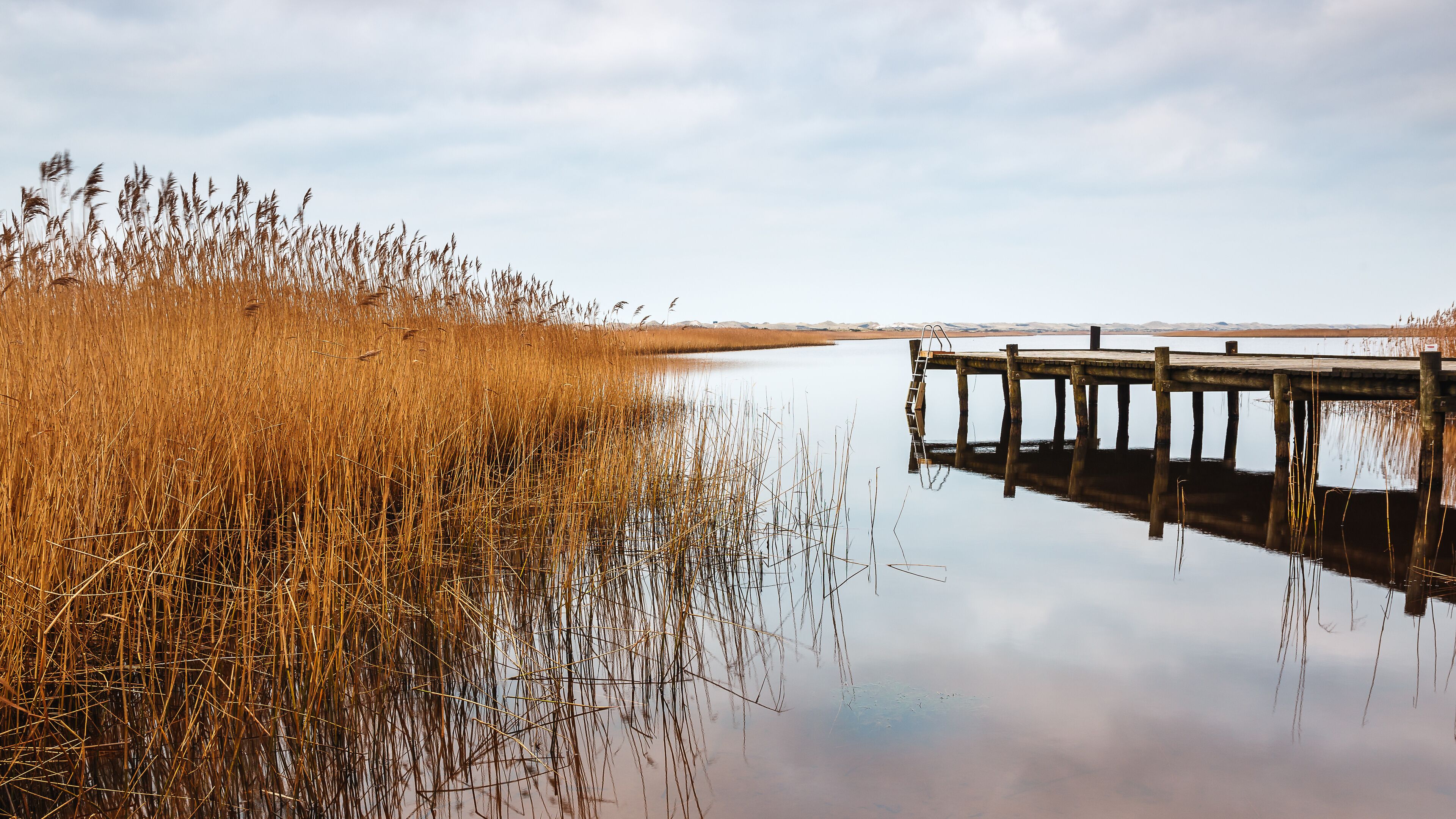 Wooden pier at Ringkobing Fjord near Nymindegab