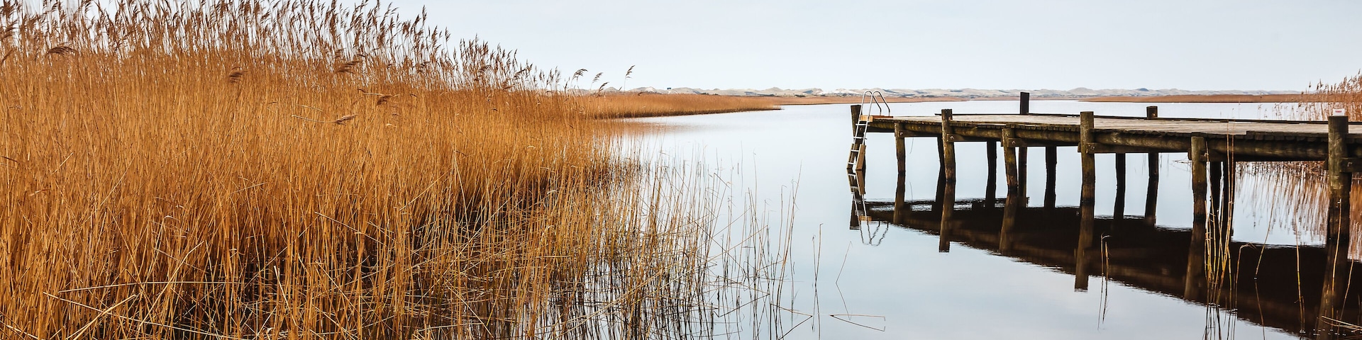 Wooden pier at Ringkobing Fjord near Nymindegab