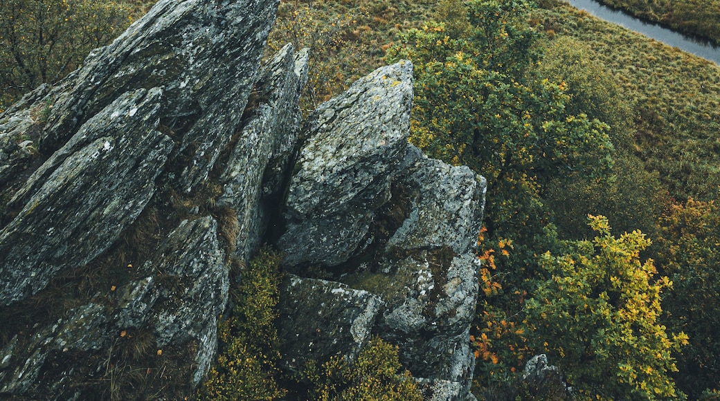 The Schwalmbach stream beautiful meandering through the Perlenbach valley in the far east of Belgium and the Eifel region in Germany.
#biebley #belgium #meander #germany #landscape
Make sure you follow me on:
https://www.facebook.com/ShotByCanipel/
https://www.instagram.com/canipel/