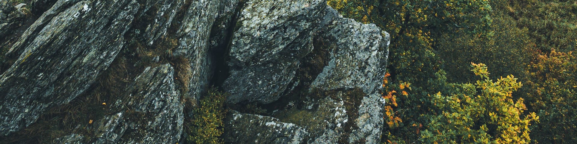 The Schwalmbach stream beautiful meandering through the Perlenbach valley in the far east of Belgium and the Eifel region in Germany.
#biebley #belgium #meander #germany #landscape
Make sure you follow me on:
https://www.facebook.com/ShotByCanipel/
https://www.instagram.com/canipel/