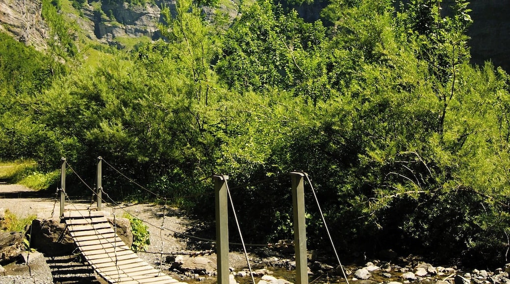 Randonnée dans la vallée de Sixt-Fer-à -Cheval.