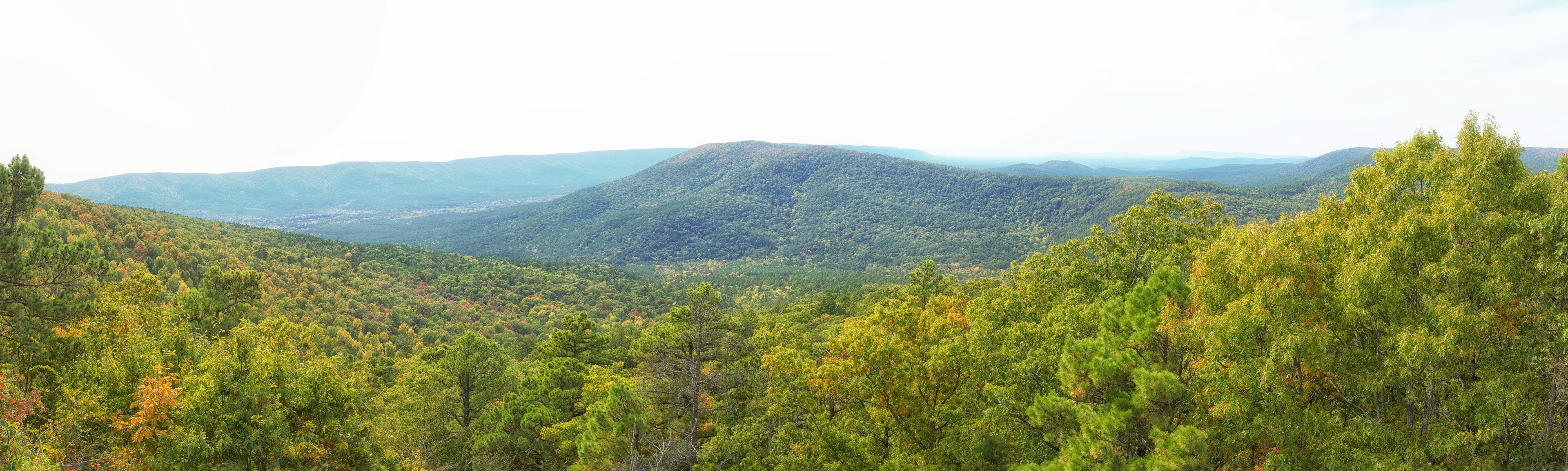A mountainous landscape with dense forests and a valley.