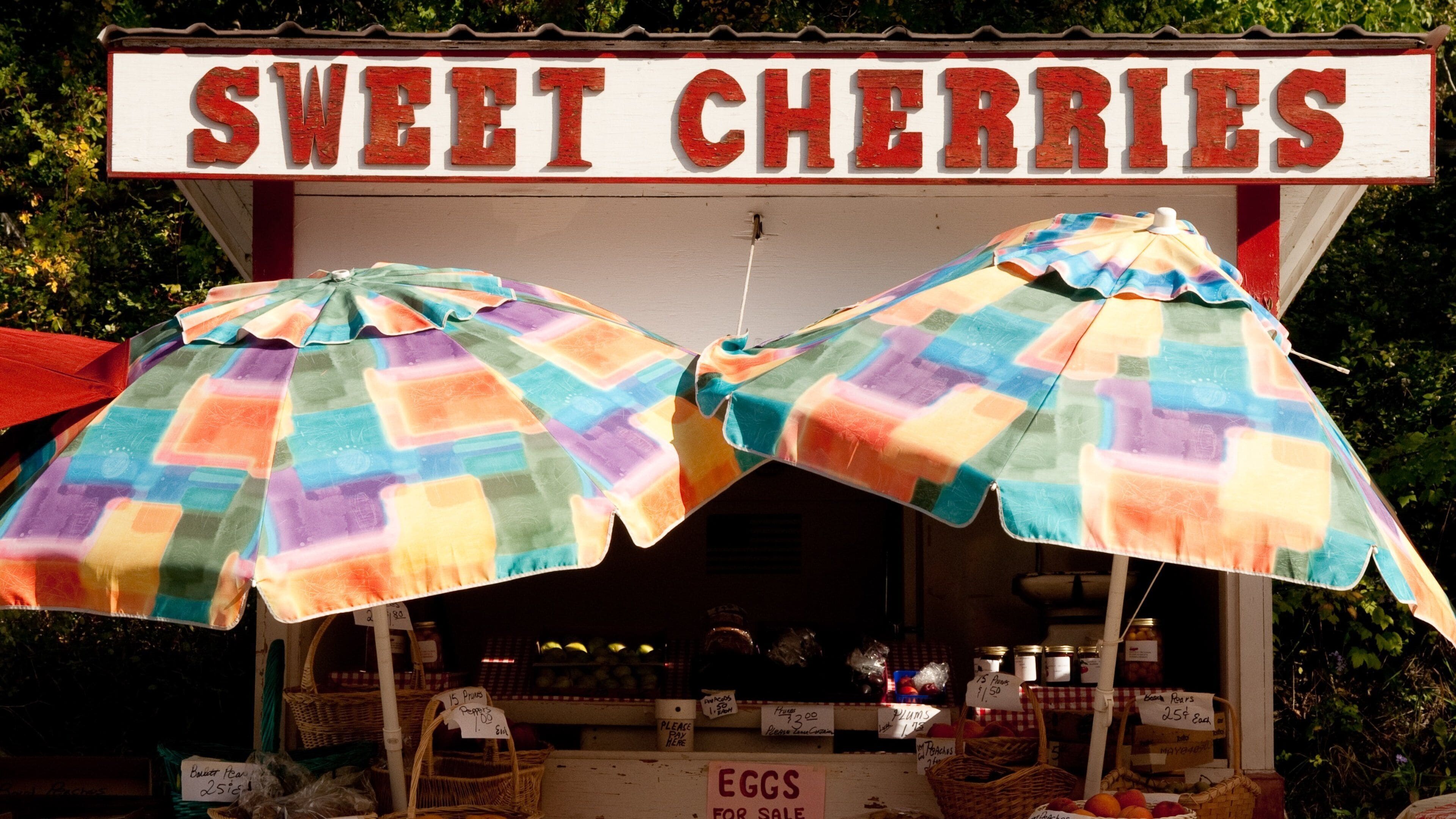 Flathead Lake which includes markets and signage