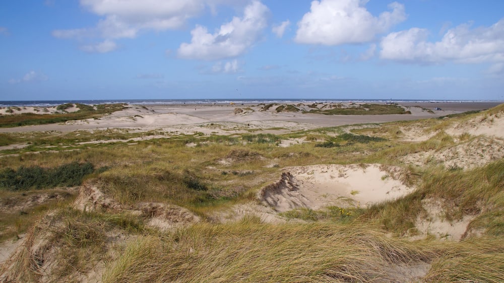 A sunny day on the Beach on Romo island in the Wadden Sea Next to Jutland