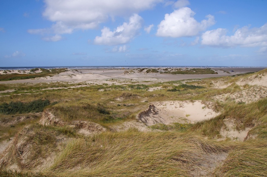 A sunny day on the Beach on Romo island in the Wadden Sea Next to Jutland