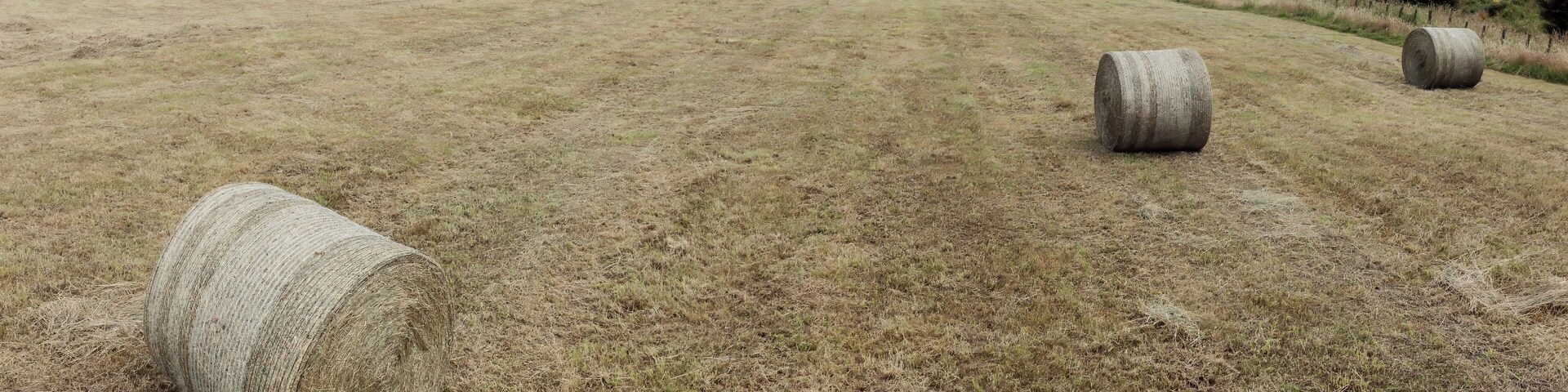 Hay bales dot a vast field, stretching towards distant hills. A peaceful rural scene. Ngamahango, Taihape, Hawke's Bay, New Zealand