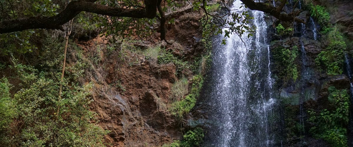 A waterfall cascading into a pool surrounded by rocky terrain and greenery.