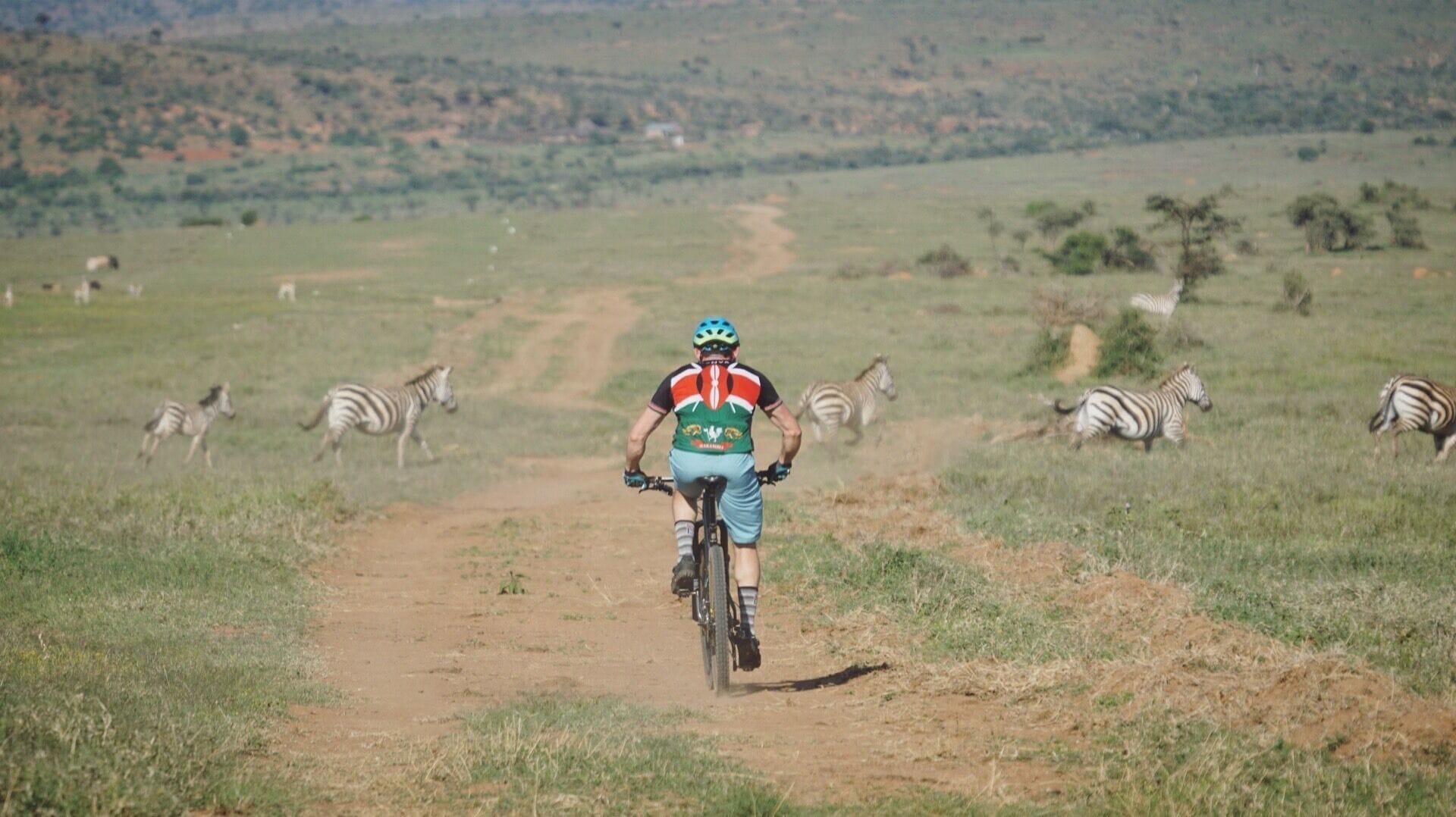 Racing stripes in the Kenyan highlands #adventure #kenya #africa #mountainbike #wildlife