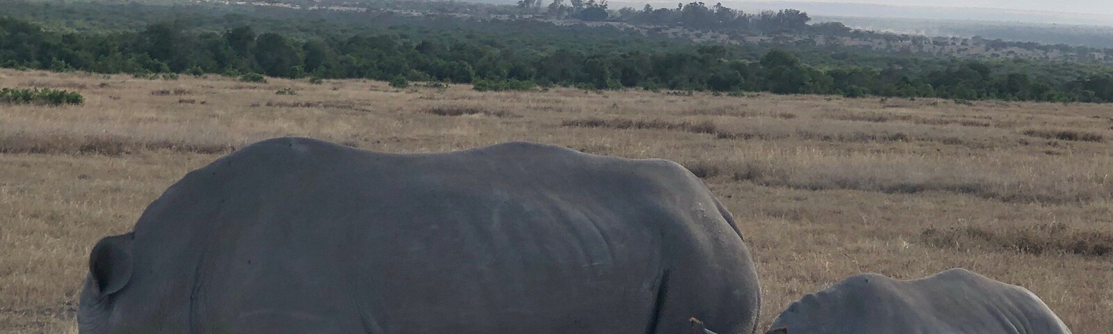 #OnTheRoad
I was out in the wild on a Safari 😍😍