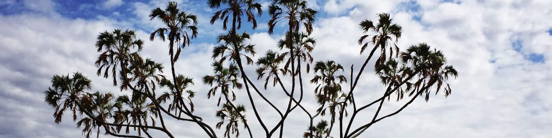 A beautiful sunny day exploring Samburu, Kenya on a game drive. In the far distance is Mount Ololokwe the sacred mountain of the Samburu tribe. #Safari #EndlessSummer