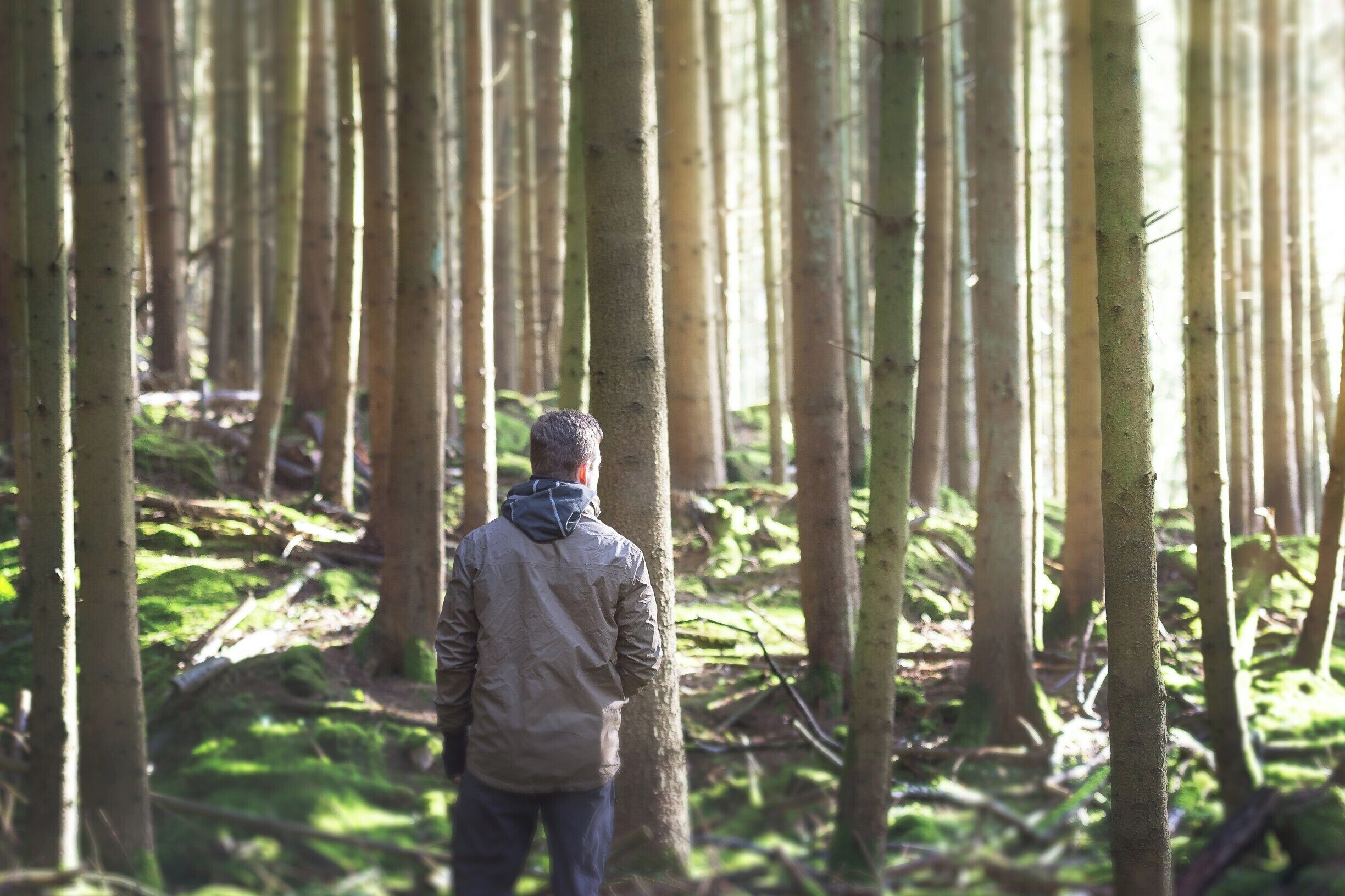 The Mullerthal Trail in Luxembourg. Also known as little Switzerland. You know why? Because it's absolutely beautiful there! :)