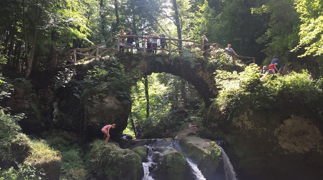 Schiessentümpel. Nice place to cool your feet when hiking on the Mullerthal Trail.