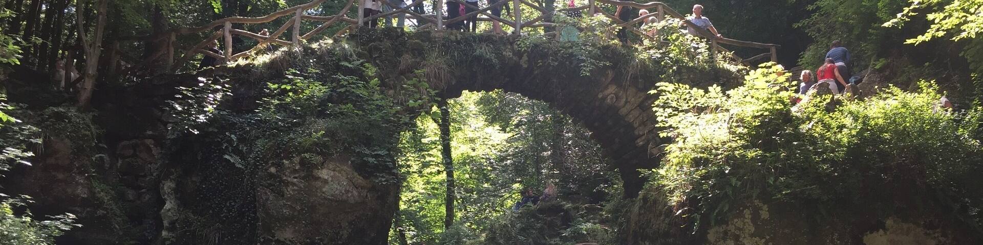 A wooden bridge over a waterfall in a forested area.