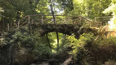 Must do walking trails in Luxembourg!!!! Mullerthal !!