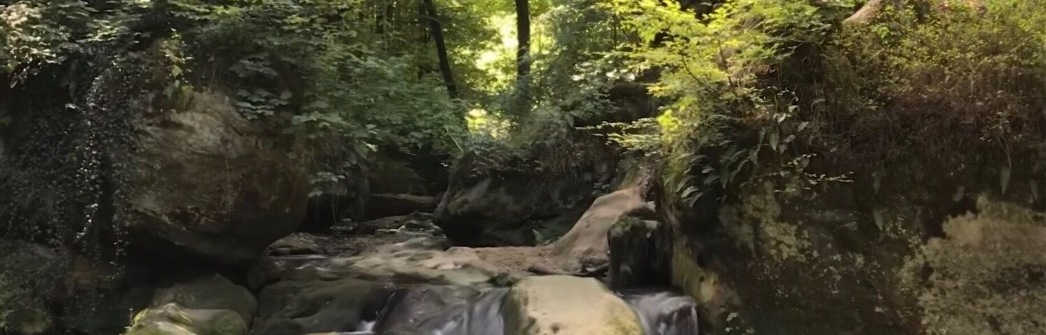 Must do walking trails in Luxembourg!!!! Mullerthal !!