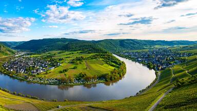 Panorama of the 180 degree river loop of the Moselle between Kröv and Traben-Trabach located in a popular wine-growing region in Germany. Wide angle perspective in the light of the evening sun in May.