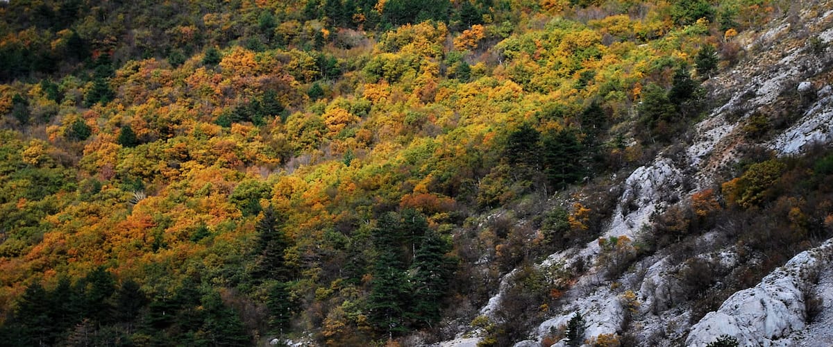 Een bergachtig landschap met herfstkleuren, rotsachtig terrein en een dicht bos.