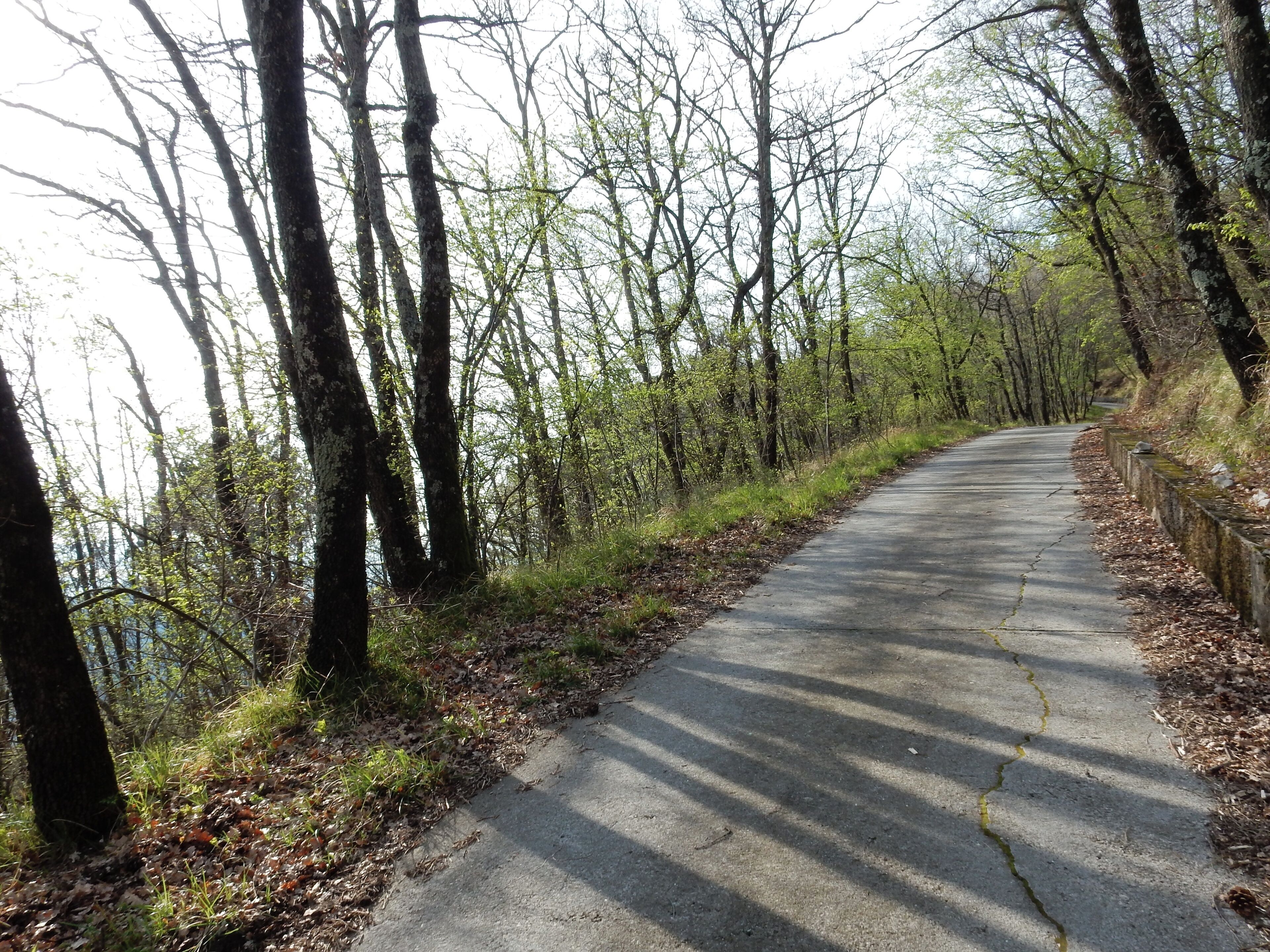 San Dorligo della Valle