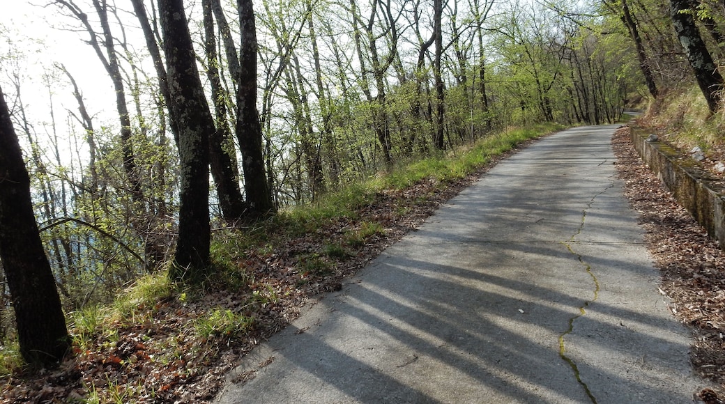 San Dorligo della Valle