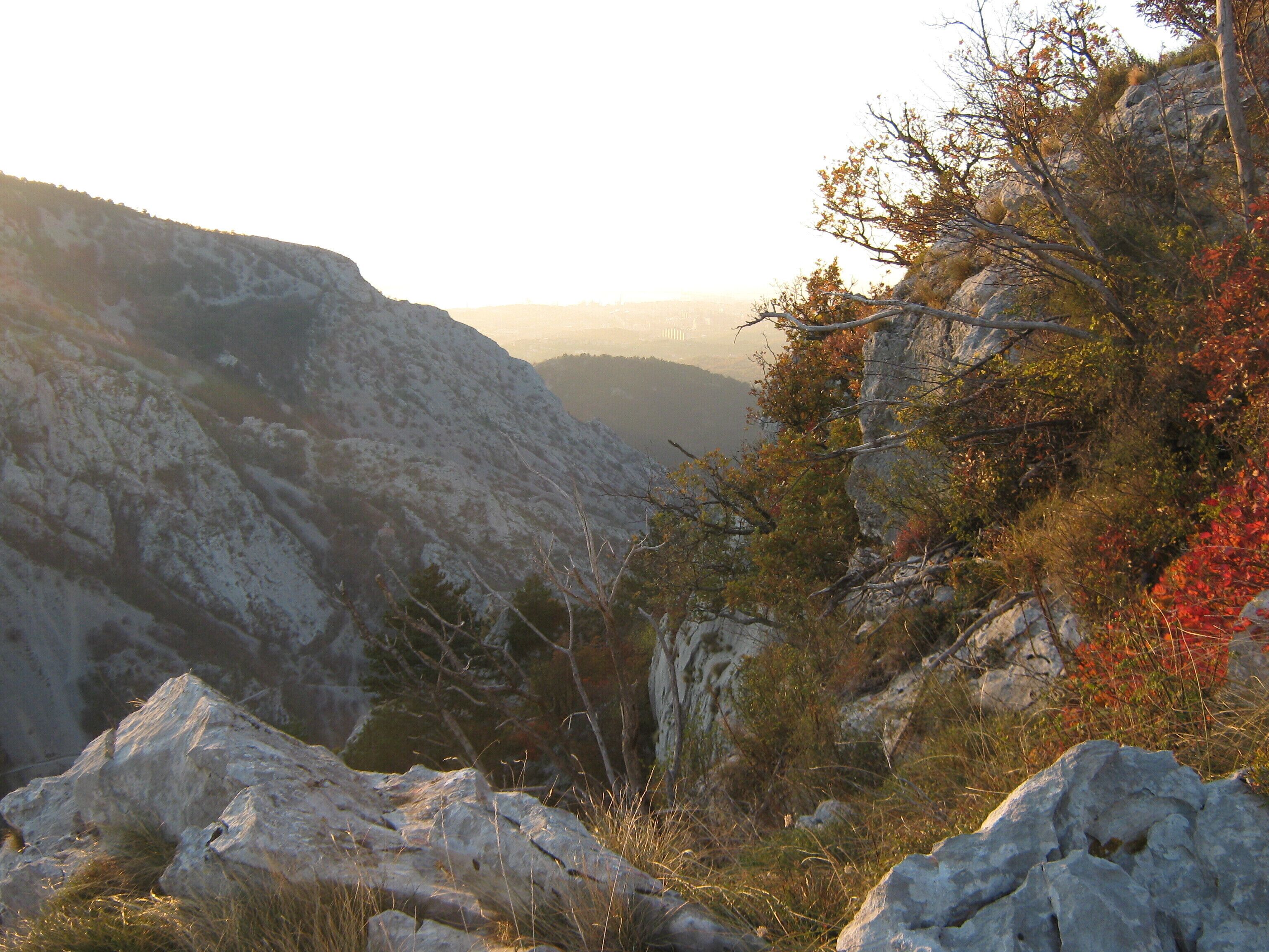 Riserva naturale della val Rosandra