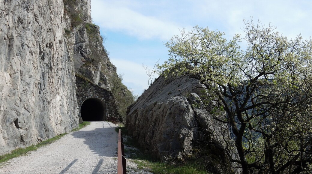 San Dorligo della Valle