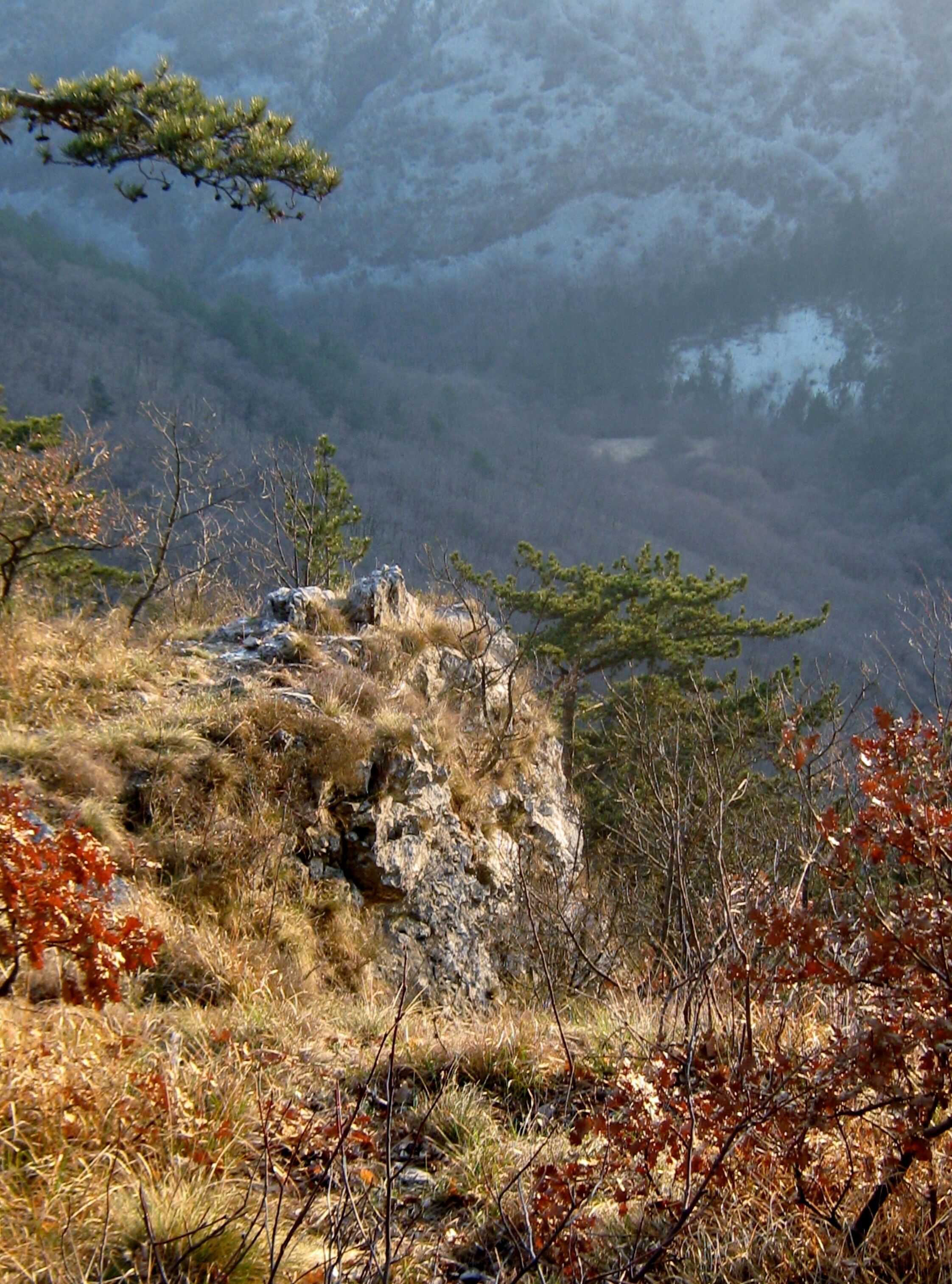 Draga Sant'Elia,un piccolo paesaggio