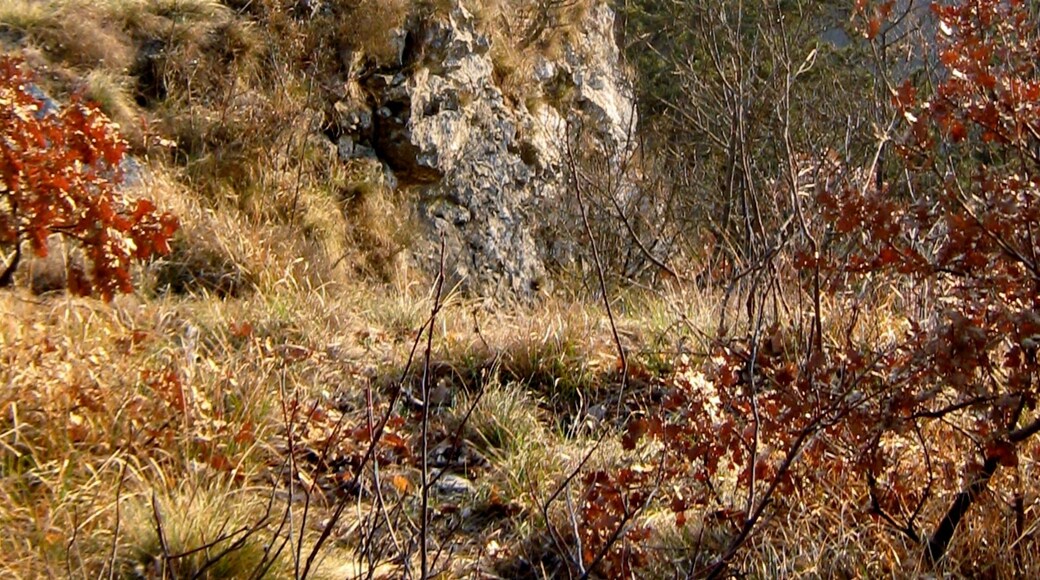Draga Sant'Elia,un piccolo paesaggio