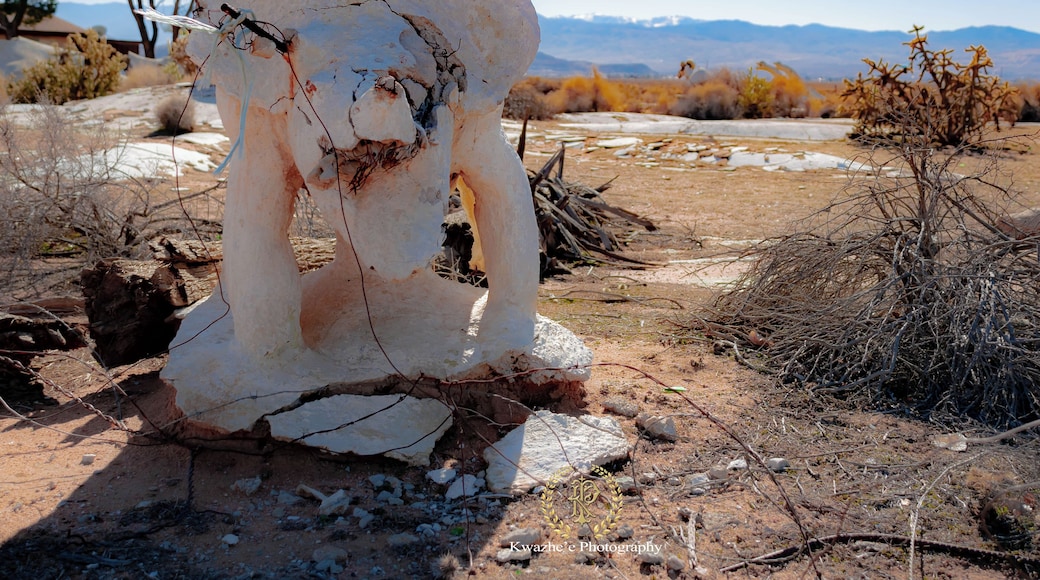 2020 of Jan 24th - Concrete Dinosaurs, Apple Valley, California